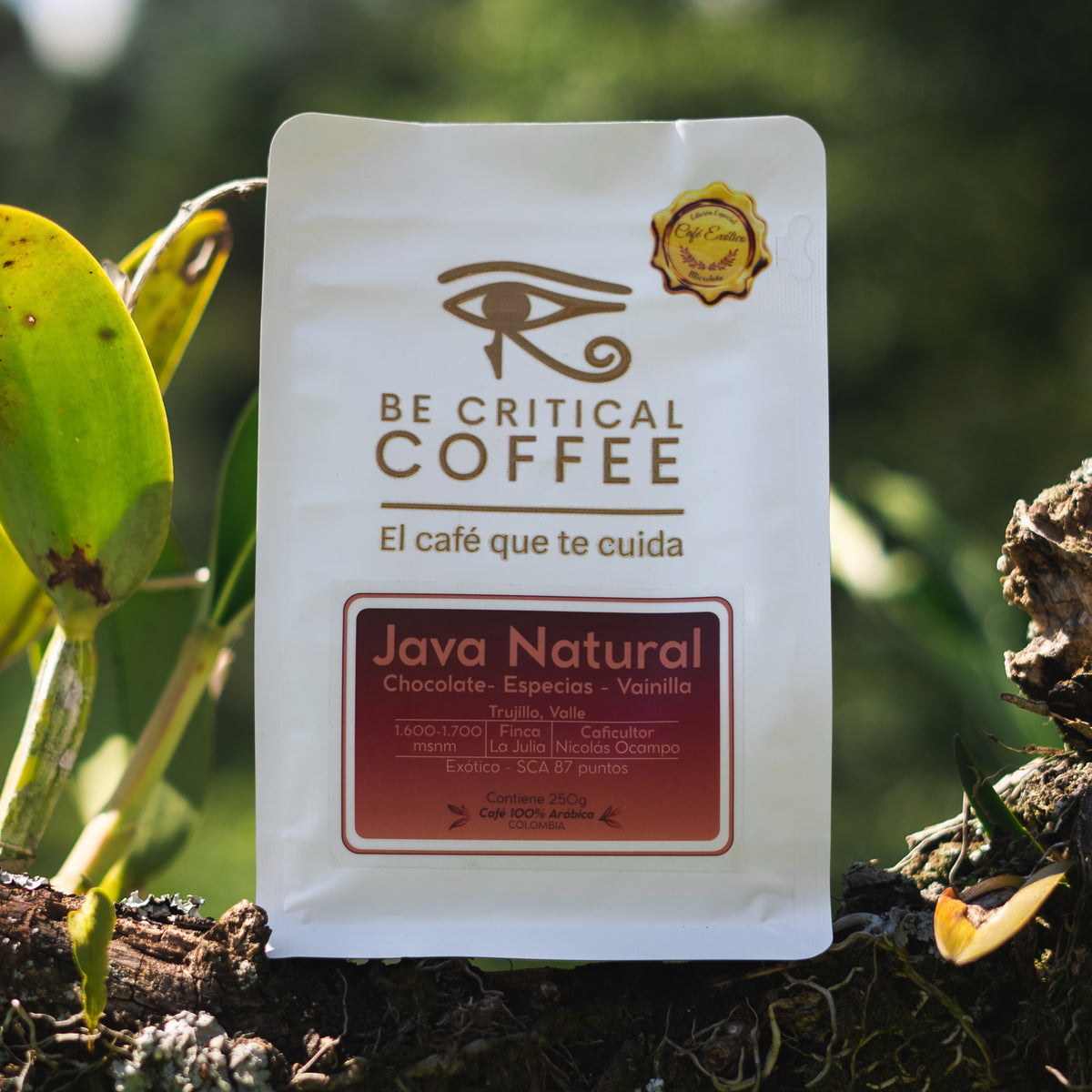 Java Natural