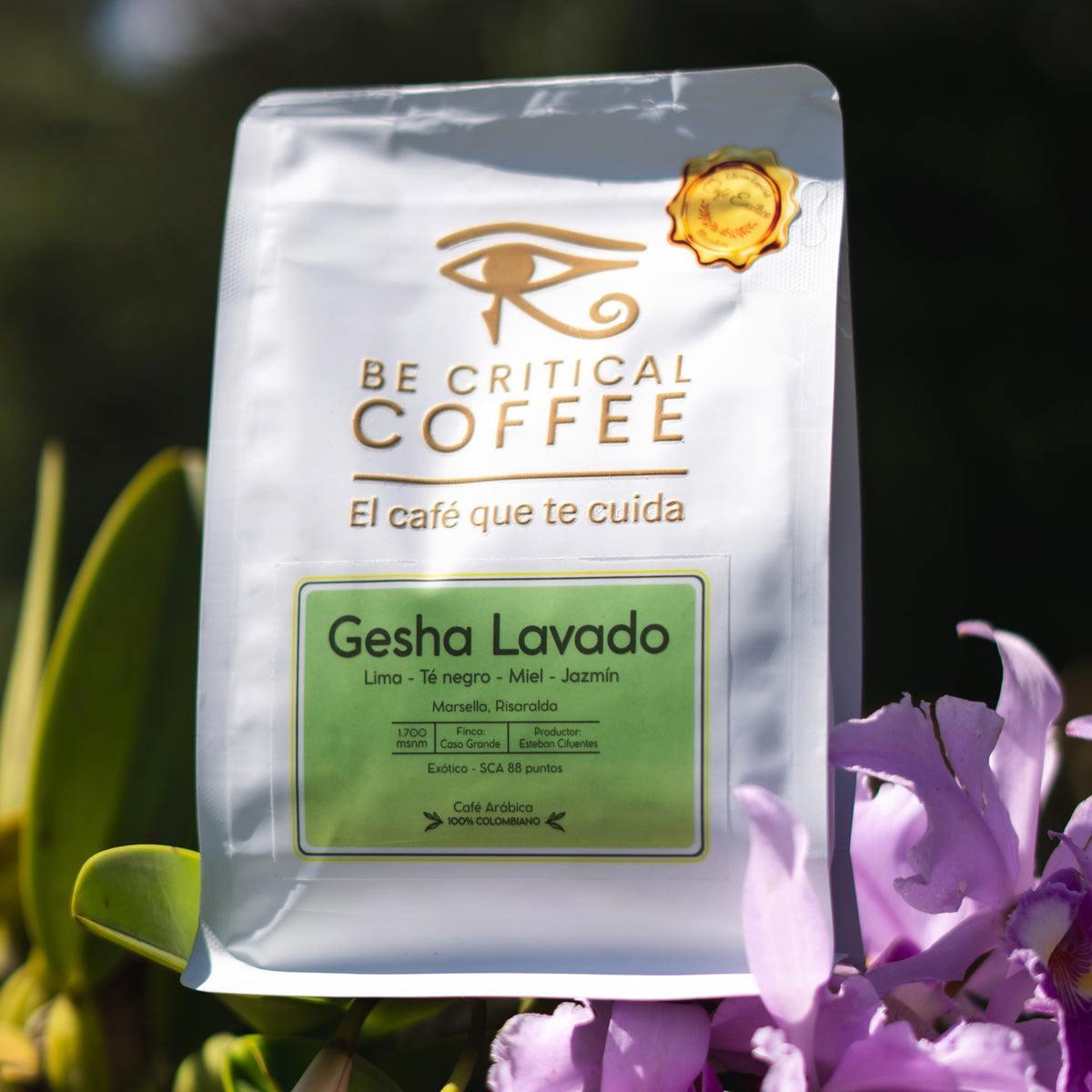 Gesha Lavado