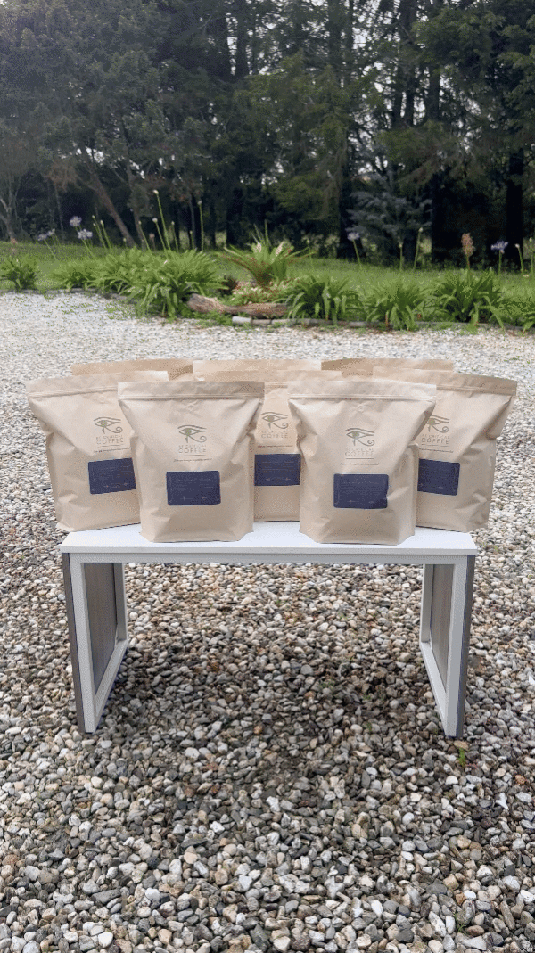 Café Empresarial - Imagen 3