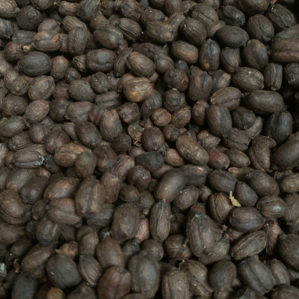 Fica_San_Jorge_Becriticalcoffee (6)