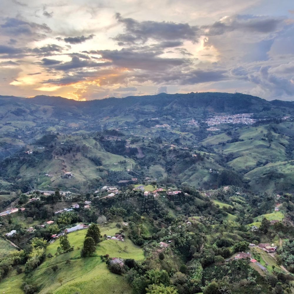 Finca_La_Milagrosa_Becriticalcoffee (2)