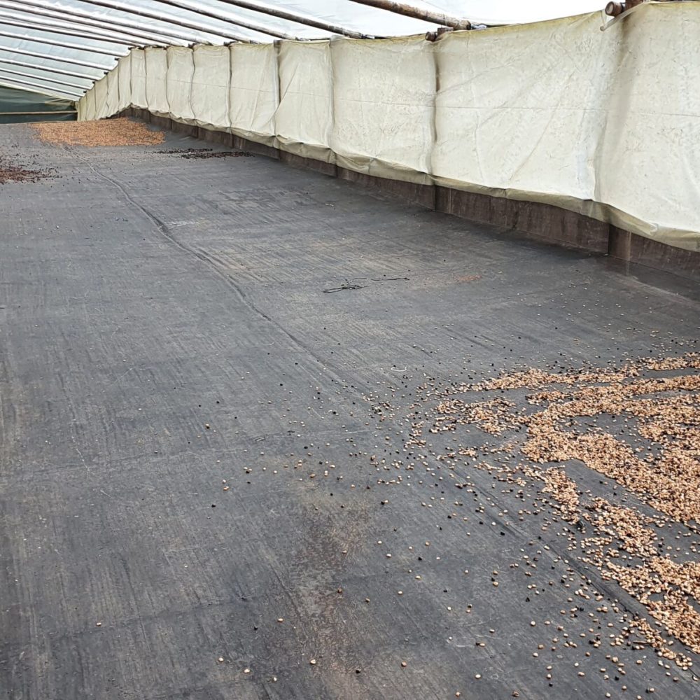 Finca_La_Rivera_Milan_Becriticalcoffee (1)