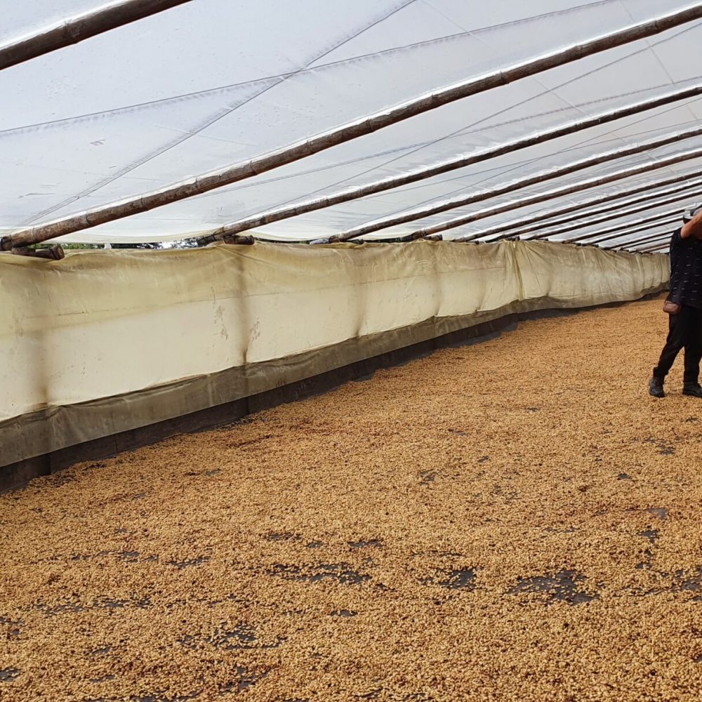 Finca_La_Rivera_Milan_Becriticalcoffee (4)
