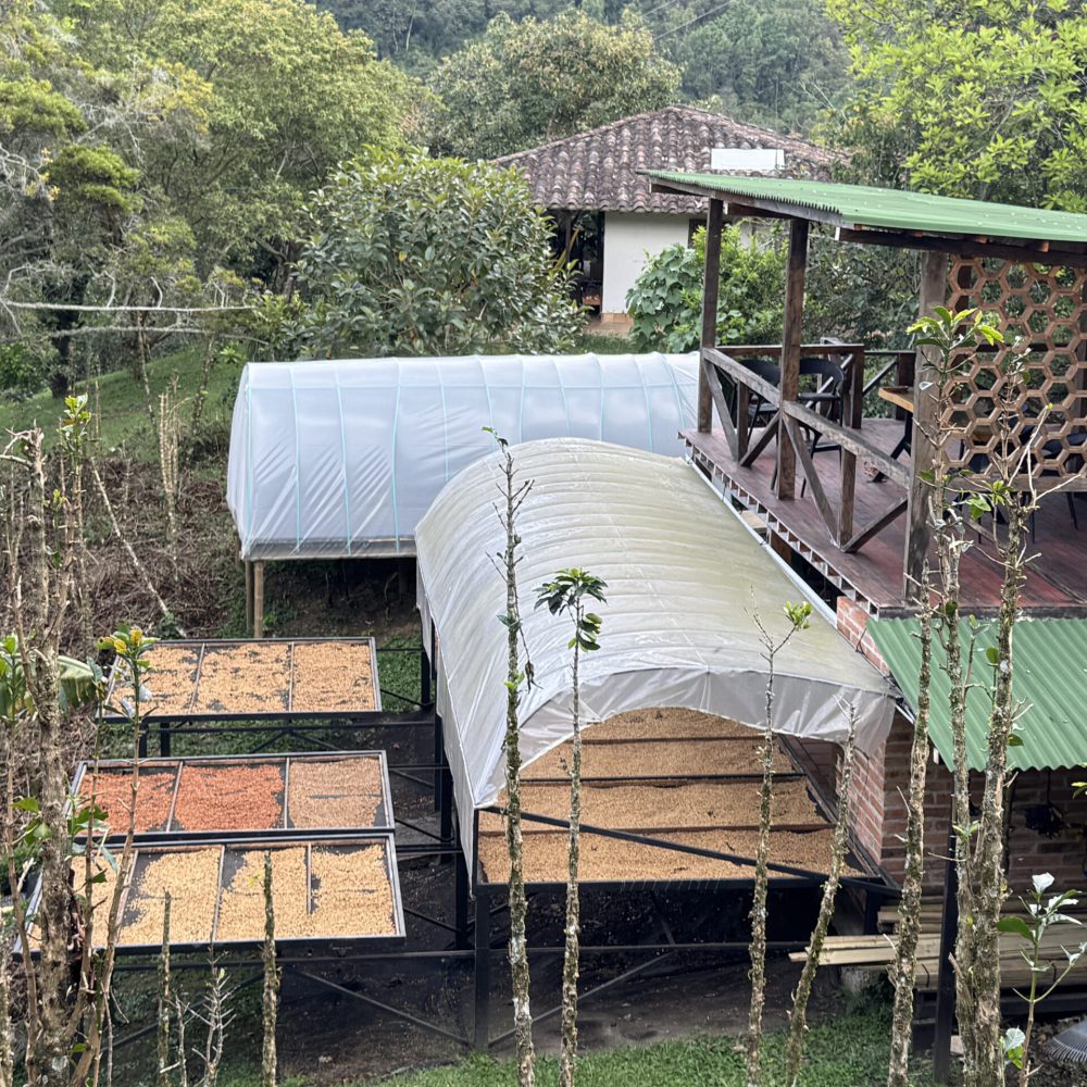 Finca_Reserva_El_Salto_Becriticalcoffee (1)