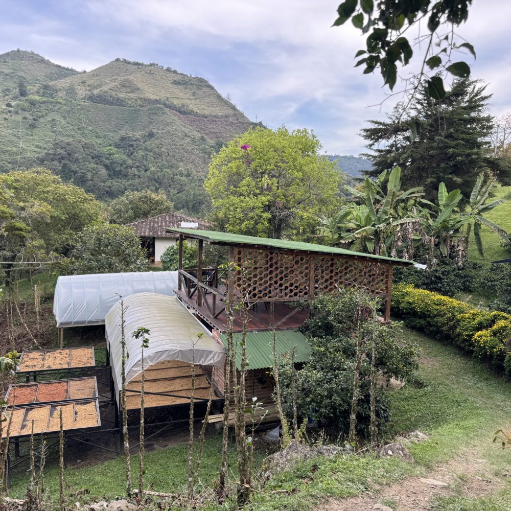 Finca_Reserva_El_Salto_Becriticalcoffee (5)